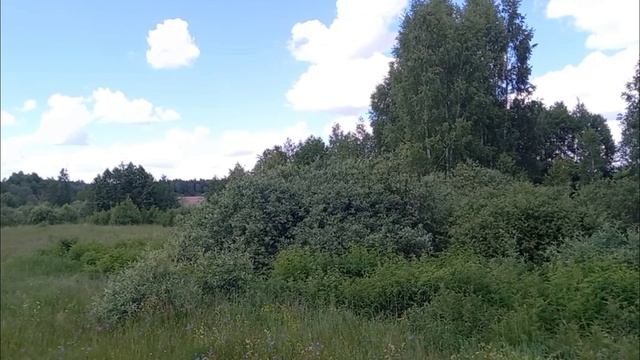 Красота природы