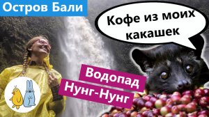 Водопад Нунг-Нунг и кофе из какашек на Бали