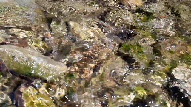 Вода и Глюкофон. Звукотерапия. #виталийалтайский #целительство #снятиепорчи #очисткаотнегатива