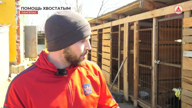 Молодые специалисты "Лангепаснефтегаза" посетили приют "Дай лапу, друг!" 15-05-2023 смотреть онлайн