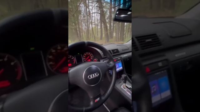 Кожаный салон Audi A4 ???