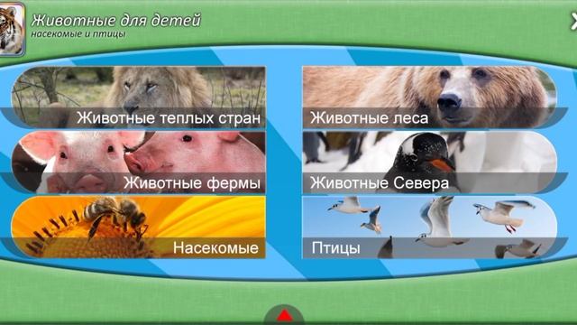 Животные СЕВЕРА для детей. Дикие животные для детей. Развивающее видео