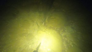 Генеральская кефаль ноябрь 2023 подводная охота 2023 охота на лобана, охота на кефаль, ночная охота