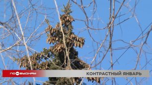 Аномальные морозы в Иркутской области сменятся аномальным теплом
