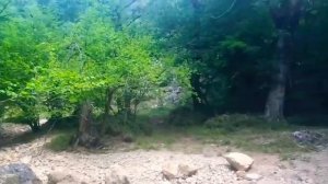 ЗЕМЕЛЬНЫЙ УЧАСТОК в СОСНАХ возле горной Реки / в окружении ГОР / КРЫМ / ЯЛТА / АЛУПКА