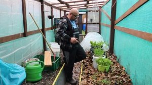 Теплица в теплице.Свежая зелень зимой.Огород Баварский.