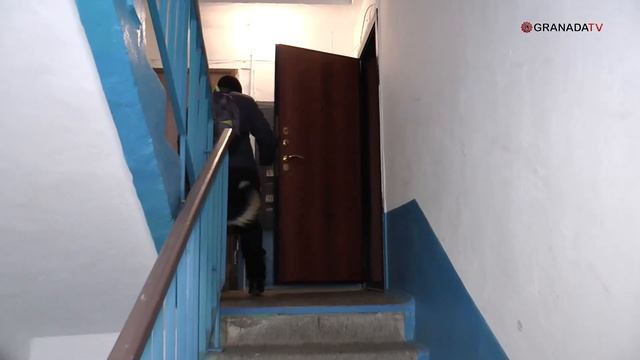 Собака-поводырь помогает незрячему челябинцу смотреть онлайн