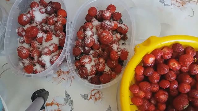 ЛУЧШИЙ СПОСОБ ЗАМОРОЗКИ ЯГОД! АССОРТИ.
