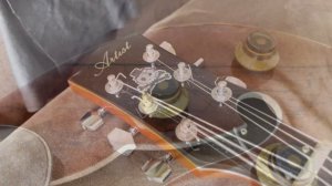 Reviewing a $349 - ES 335 Style Electric Guitar” The Amazing Walnut58 From Artist Guitars