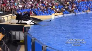 Шоу касаток в Лоро парке на Канарских островах