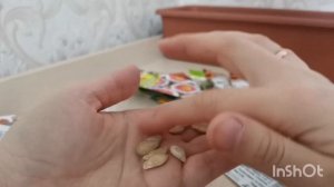 Опять купила семена.