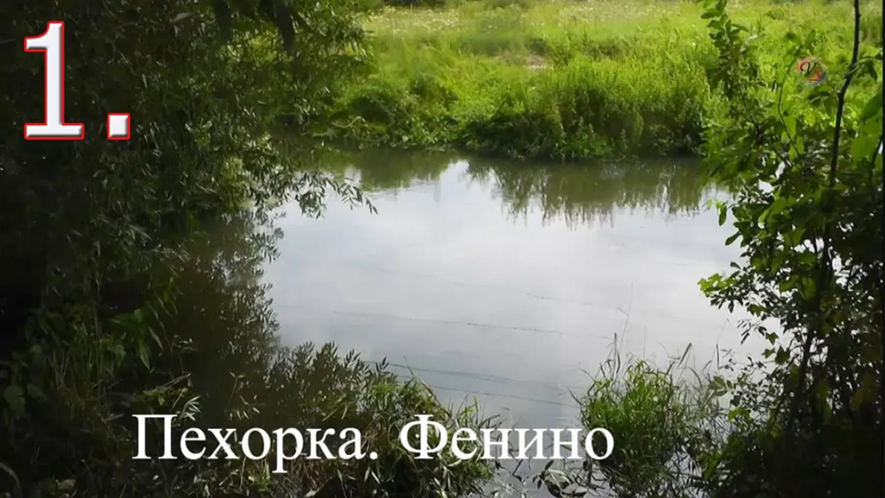 1.Рыбалка на реке Пехорка. Фенино, Ловля на боковой Кивок, Поплавок. Подводная съёмка. Подмосковье