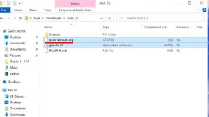 How To Install D2DX for Diablo 2