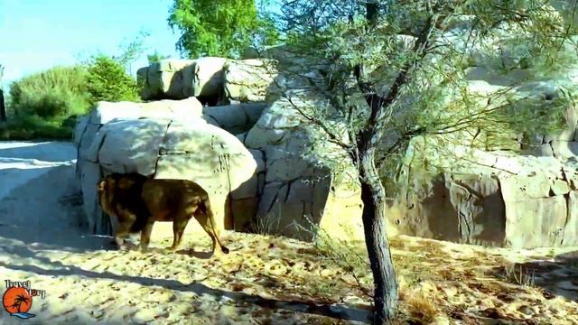 Dubai Safari Park | DUBAI SAFARI PARK Adventure l DUBAI SAFARI PARK 2020 - 2021 l حديقة سفاري دبي