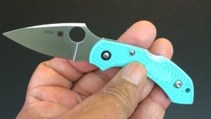 Spyderco Dragonfly CPM-S30V!  NEW!  The Knife of the Day!