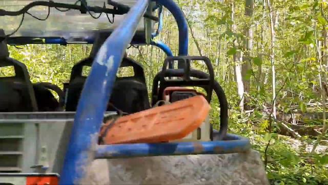 Через поваленные деревья, или дурная голова рукам покоя не даёт. смотреть онлайн