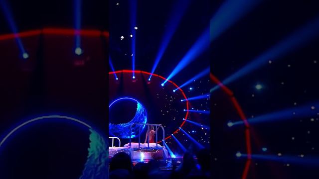 Жан Милимеров - Diamonds на «Суперстар»