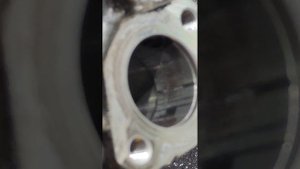 Т4 2 5. Сломался тнвд в тотал, а нужно было просто раньше обратиться за помощью.