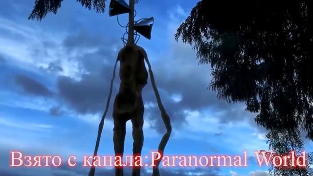 СИРЕНОГОЛОВЫЙ СНЯТЫЙ НА КАМЕРУ***СИРЕНОГОЛОВЫЙ СНЯТЫЙ НА ВИДЕО***SIREN HEAD В РЕАЛЬНОЙ ЖИЗНИ