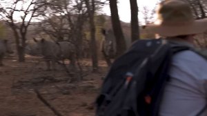 Discover South Africa's National Parks - with Google Street View