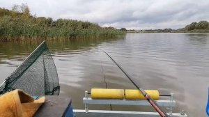Карась в сентябре успешная рыбалка на пруду