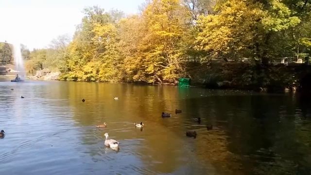 Прогулка по Софиевскому парку г. Умань . 1 серия. смотреть онлайн