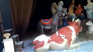 Рождественский вертеп у Князь-Владимирского собора