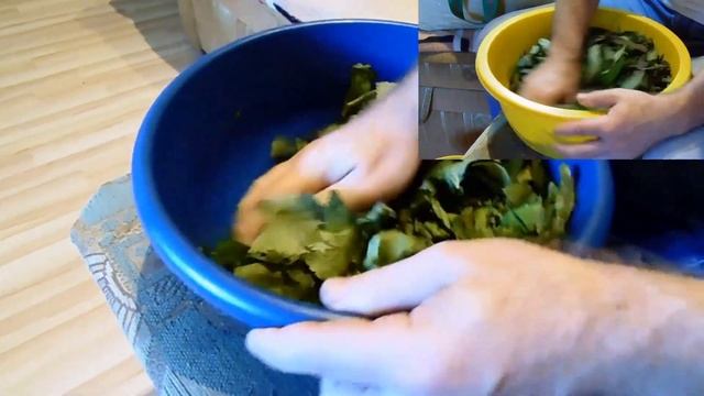 Ферментация листьев смородины - отзыв. Fermentation of black currant leaves. смотреть онлайн