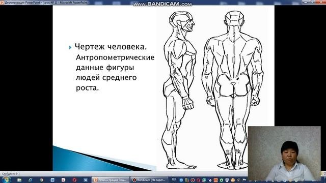 Антропология. Антропологические сведения о фигуре   человека. урок 1