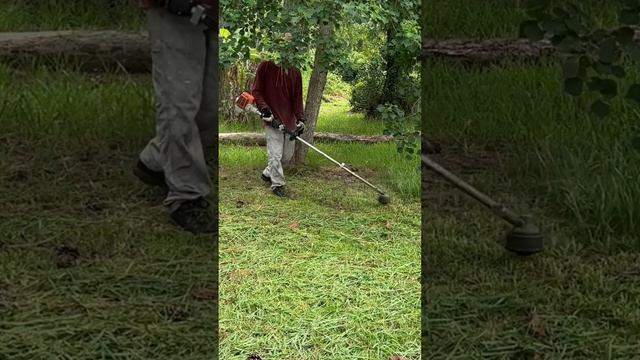 Using string trimmer to cut grass