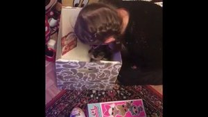 Подарили щенка )