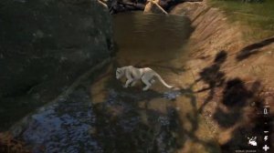 AFRICAN ANIMAL SURVIVAL SIMULATOR!? [ Animalia ] First Look!