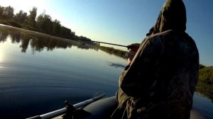 Амур...    Амур...