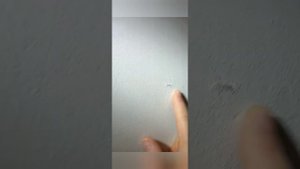 Четыре качества отделки стен
