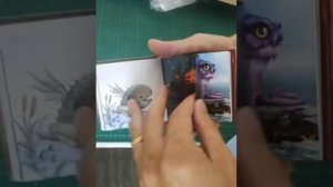 Tiny Dragon art book collection - production sample