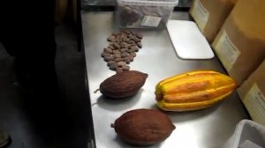 Шоколадная пятница. Жарим какао-бобы!