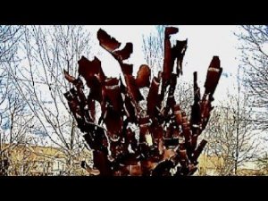 Малая земля Новороссийск