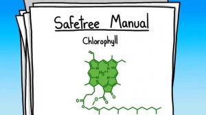 Почему листья меняют цвет на самом деле?