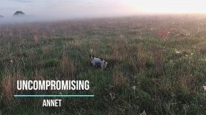 Натаска английского спрингер спаниеля uncompromising annet 2021
