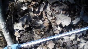 МЕТАЛЛОИСКАТЕЛь 6350  с катушкой детеч 15×8 DD..SEF WSS... 5коп СССР по воздуху ..