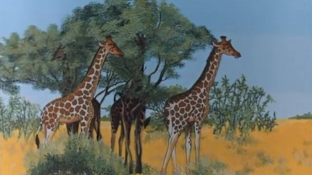 Охота. 1979 смотреть онлайн