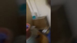 Опасный процык срёт в штаны 4 часть