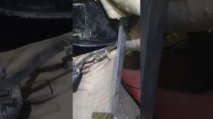 Дробилка древесного угля