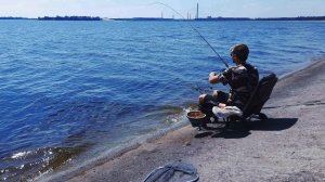 Лещ и карась на водохранилище...Рыбалка на фидер с дамбы.mp4