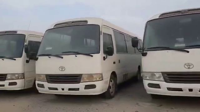 Toyota Coasters For Sale смотреть онлайн