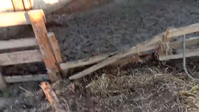 Совхоз Сморгонский.
