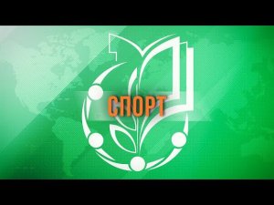 Все спортивные программы МГО Профсоюза образования