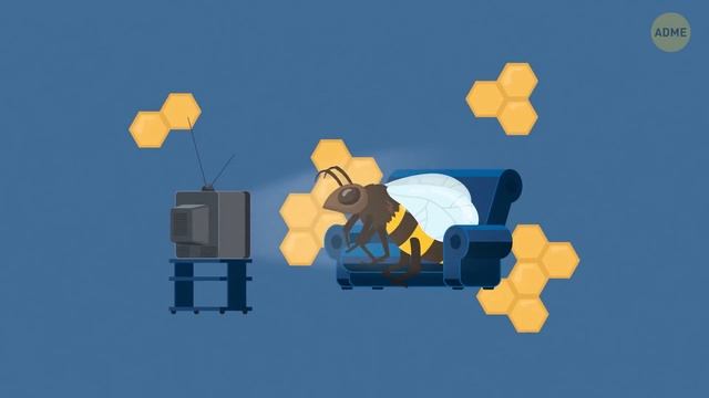 Если вы найдете это в своем почтовом ящике, не прикасайтесь! смотреть онлайн