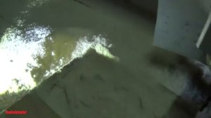 3D фрезеровка березы на ЧПУ станке