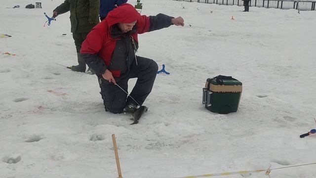 5.04.23 КРХ Белая Дача,крупная форель на пасту,время 12:30 .Форель оказалась с бонусом! смотреть онлайн